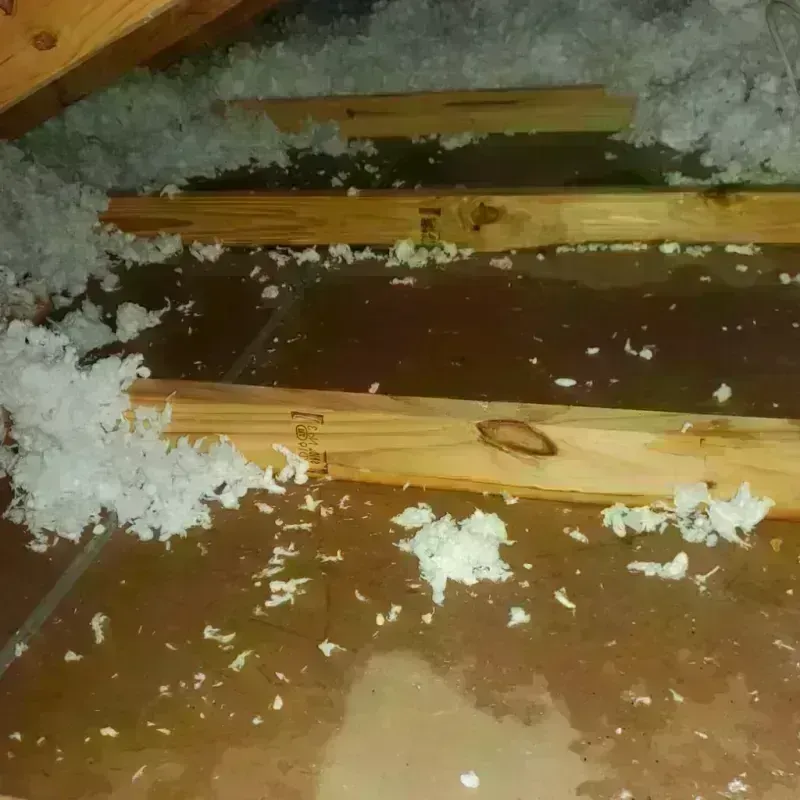 Attic Water Damage in Norwalk, IA