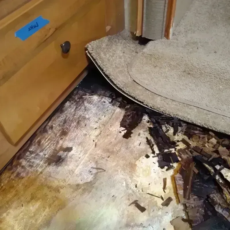 Wood Floor Water Damage in Norwalk, IA